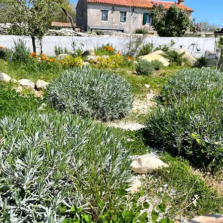 Family House - Art Presika - Labin Old Town
