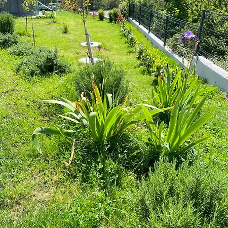 Holiday home Family House - Art Presika - Labin Old Town Labin (Istria)
