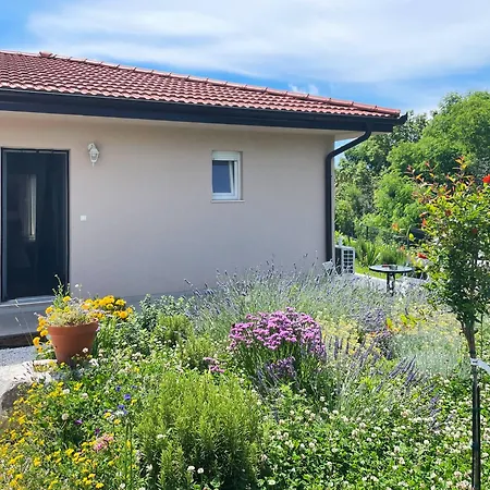 Holiday home Family House - Art Presika - Labin Old Town *